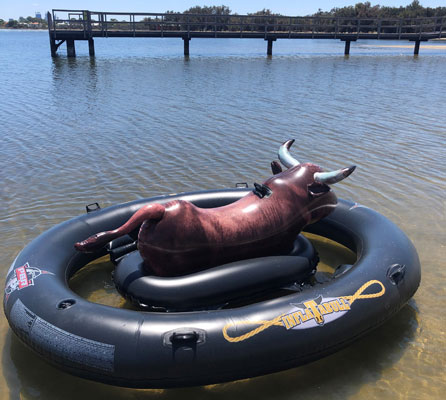 Fun in the sun with friends